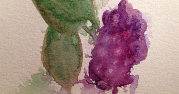 Day 164: Grapes and Leaves in Watercolor on Watercolor Paper